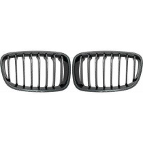 BMW 1-Serie F20 11-15 Enkelribbad Kolfiberlook Sportgrill / Njurar Performance-Look DIEDERICHS